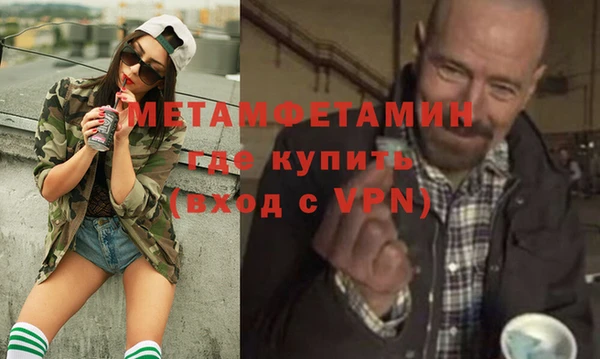 хмурый Кедровый