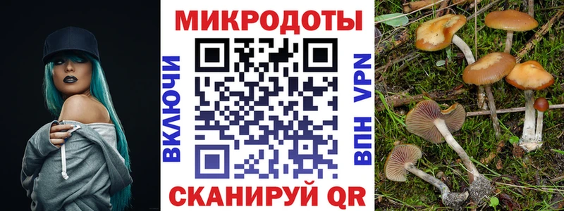 Купить  Заволжск  Псилоцибиновые грибы мухоморы 
